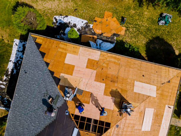 Best Roof Maintenance Services  in St Albans, WV